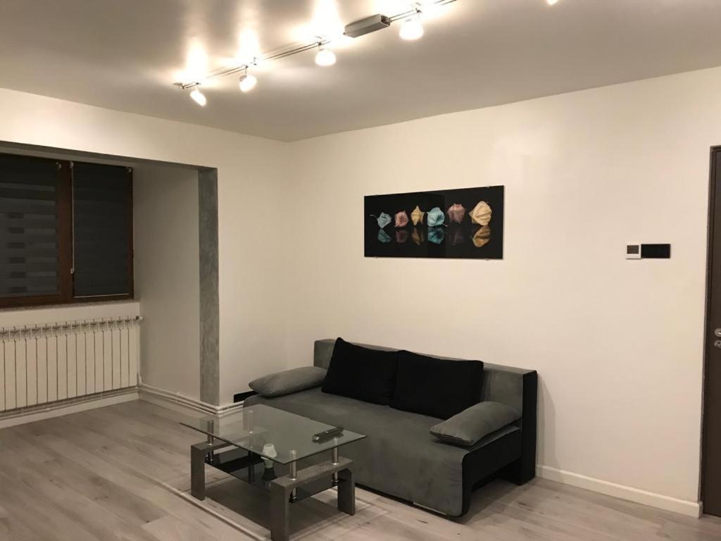 Elegant & Silver Luxury Apartament Craiova Dış mekan fotoğraf